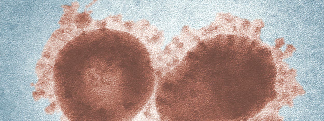 Second Responsive Image